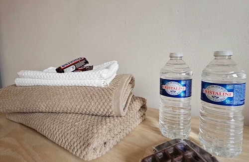Klein-Antwerpen Apartment | Double room with private bathroom