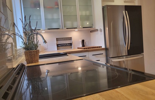Rosemont-La Petite-Patrie Condo | Double Terrasse · Borne Arcade · BBQ · Proche Bus