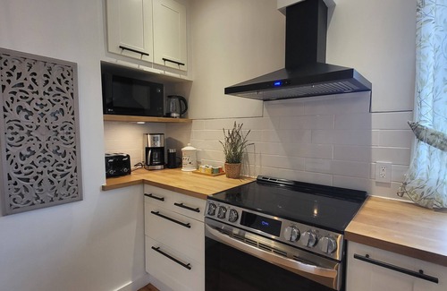Rosemont-La Petite-Patrie Condo | Double Terrasse · Borne Arcade · BBQ · Proche Bus