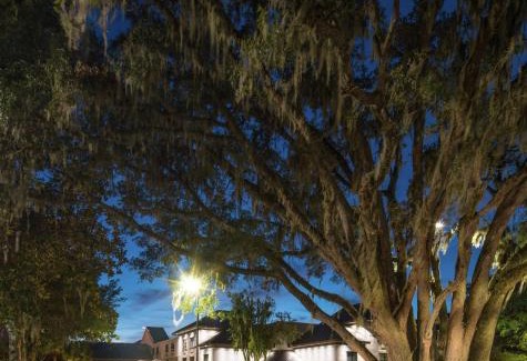 Gainesville Hotel | DoubleTree by Hilton Gainesville