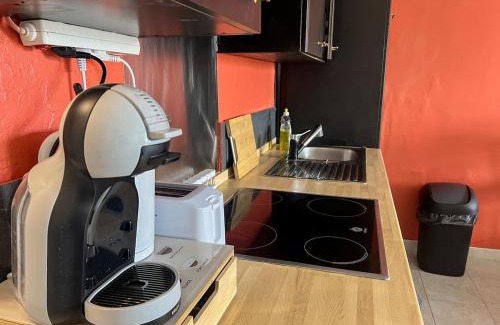 Grand Clement Apartment | Doux Pavillon - Le Strada - box - air conditioning - tram 5 min away