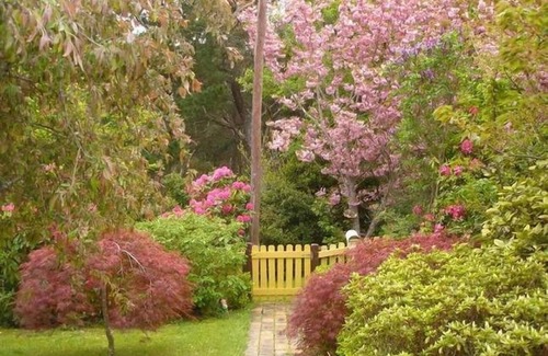 Blackheath Cottage | Dowling Cottage - Blackheah