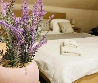Gyor Apartment | Downtown Apartments with shared kitchen