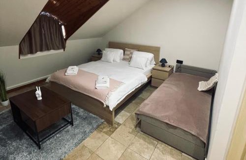 Gyor Apartment | Downtown Apartments with shared kitchen