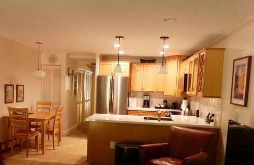Aspen Condo | Downtown Aspen, 1 Bedroom Condo: min. 30 night rental