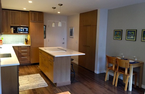 Aspen Apartment | Downtown Aspen Studio - walk to everything!