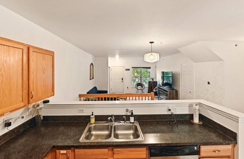 Midtown Condo | Downtown Detroit Big Cheese Executive Retreat Walk to Stadiums, Concerts & Fox
