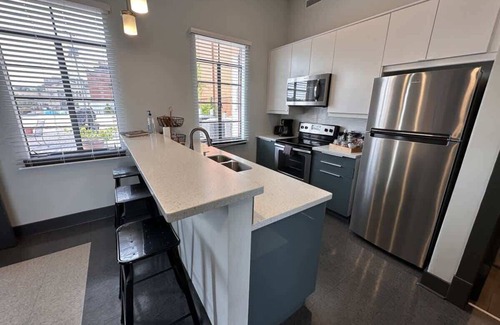 Roanoke Apartment | Downtown Rooftop Apt- Walkable, Private, Modern