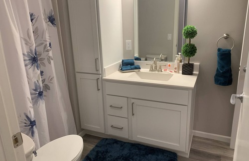 Downtown St. Paul Apartment | Downtown Saint Paul 1 Bd, 1 Bath Apartment at R7 Lofts
