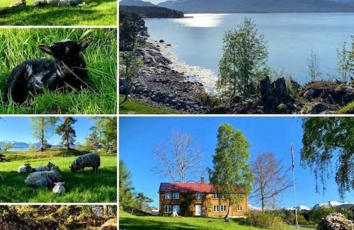 Molde House | Draget gård