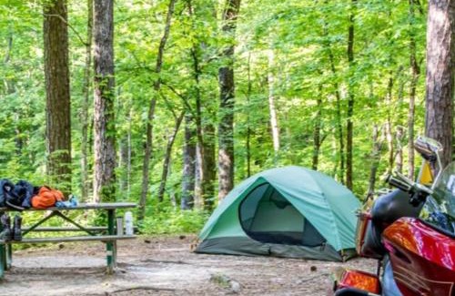 Maryville Hotel | Dragon City