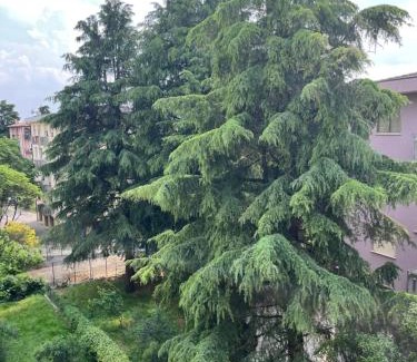 Padova Apartment | Dream & suite