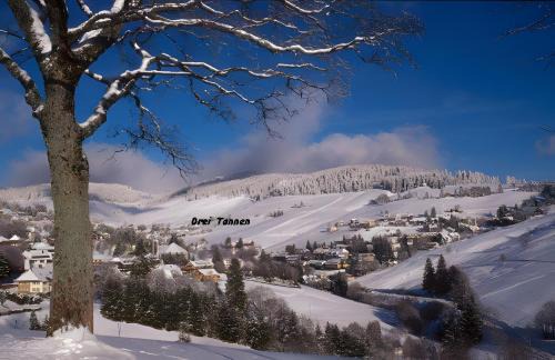 Todtnau Apartment | Drei Tannen