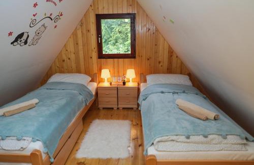 Tara National Park Apartment | Dren - Banjska stena