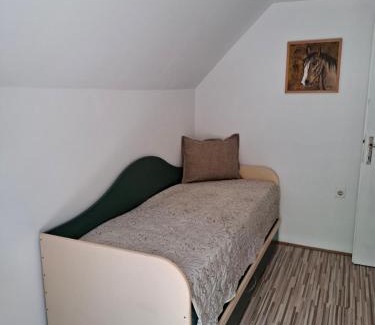 Bajina Basta Apartment | Drinski odmor ,Mima, 1