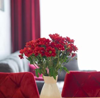 Banja Luka Apartment | Drobac apartman