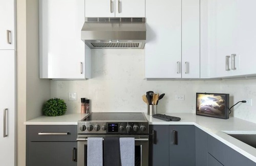 The Loop Condo | DTown Penthouse - 4bd/4ba (+Parking + Gym + Pool)