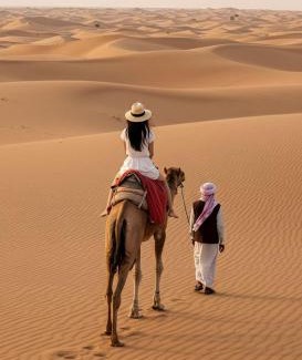 Za'abeel 2 Other | Dubai Desert Safari With BBQ and Live Shows