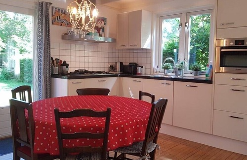 Nieuw-Haamstede House | Duinroosweg 8 house with privacy for a peaceful holiday