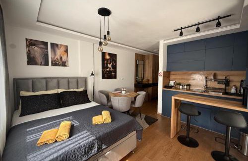 Vrnjacka Banja Apartment | DUNjA Apartman