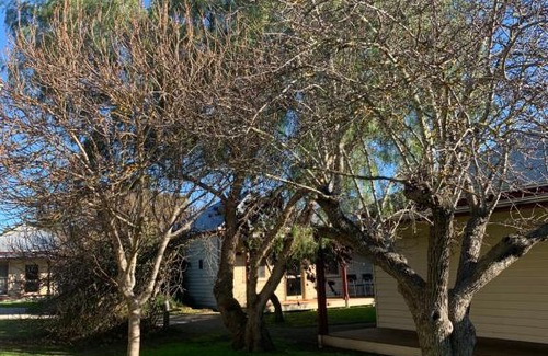 Dunkeld Hotel | Dunkeld Studio Accommodation