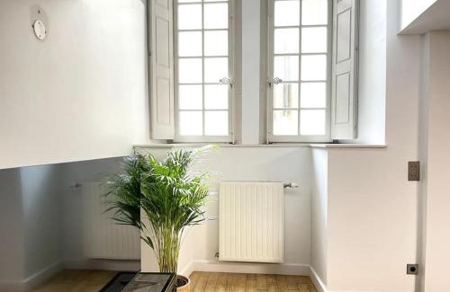 Secteur 2 Apartment | Duplex avec terrasse en hypercentre de Grenoble