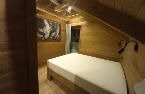 Spindleruv Mlyn House | Dvořákova Bouda