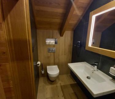 Spindleruv Mlyn House | Dvořákova Bouda
