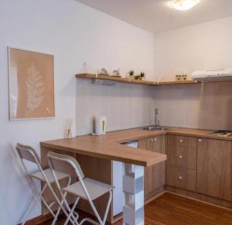 Vrnjacka Banja Apartment | Dvoristance