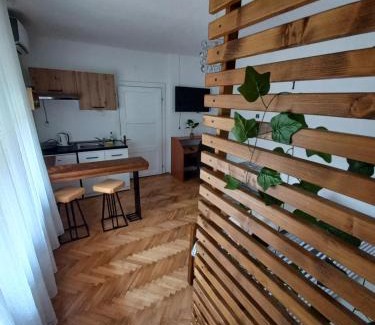 Sremski Karlovci Apartment | Dvorska oaza