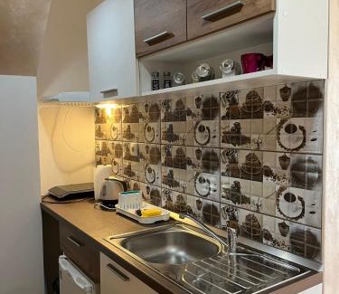 Sremski Karlovci Apartment | Dvorska oaza