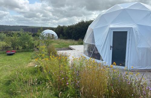 Bideford Other | Dyers Meadows Camping