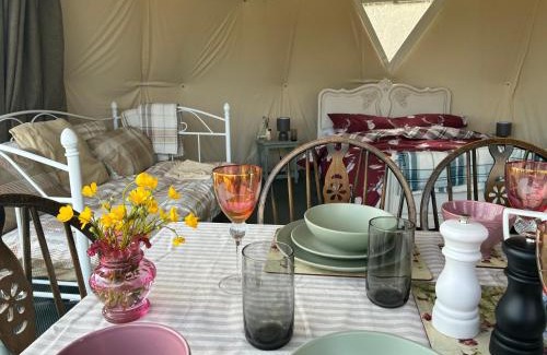 Bideford Other | Dyers Meadows Camping