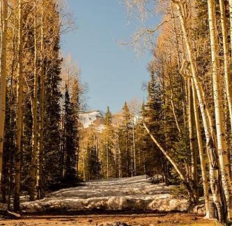 Beaver House | Eagle Point Ski Resort Snowflake 17