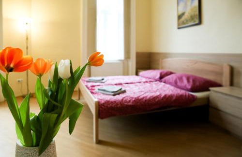 Nepszinhaz negyed House | East Private Rooms