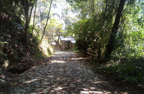 Pluma Hidalgo Hotel | Eco Hotel El Refugio, In the mountains but near the sea. - ROOM 3