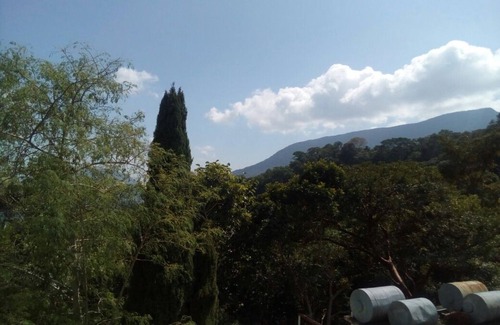 Pluma Hidalgo Hotel | Eco Hotel El Refugio, In the mountains but near the sea. - ROOM 18