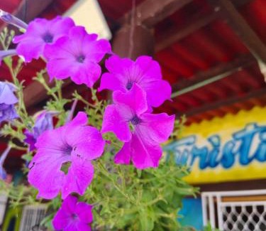 Cienaga House | Eco hotel la Esmeralda Cienaga