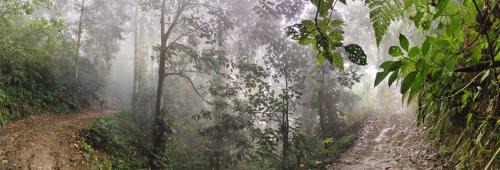 Cienaga House | Eco hotel la Esmeralda Cienaga