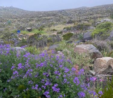 Coquimbo House | Eco Lodge La Ola Oculta