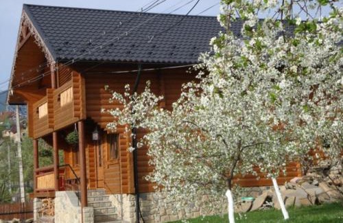 Yaremche Ski Chalet | Eco Sadyba Familia