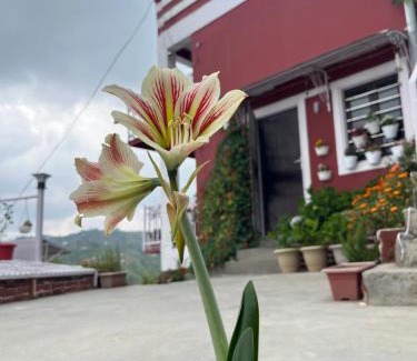 Kaul Apartment | EcoEscape Mukteshwar