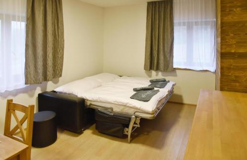 Horni Lipova Apartment | EFI ApartHotel Horní Lipová