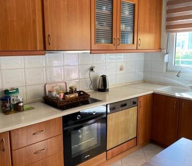 Alexandroupoli Apartment | Efi's house with garden