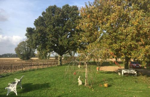 East Dereham House | Eight ball house