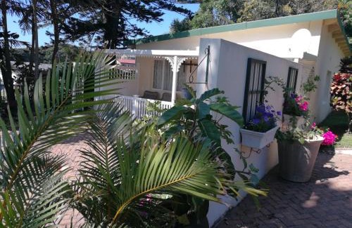 Port Edward House | Eight Palms