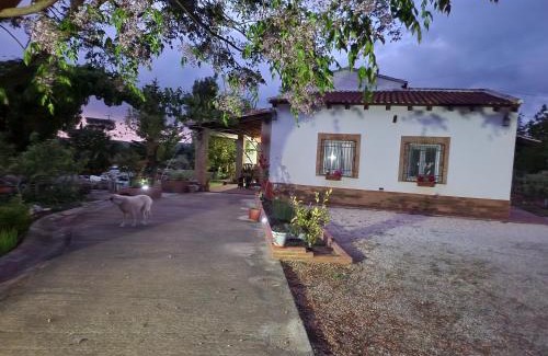Arriate Apartment | El Baco