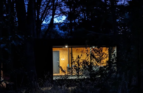 Centro Cabin | El bosque