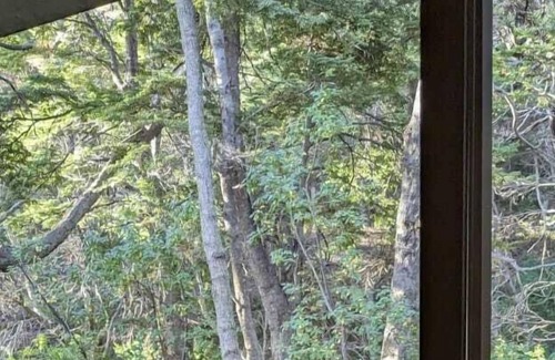 Centro Cabin | El bosque