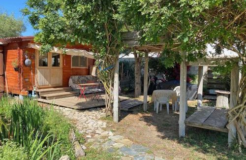 Zahora House | El Canto de las Ranas